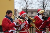 the cerantolas