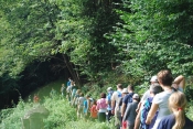 43 Nogarole, Solagna