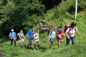 46 Nogarole, Solagna